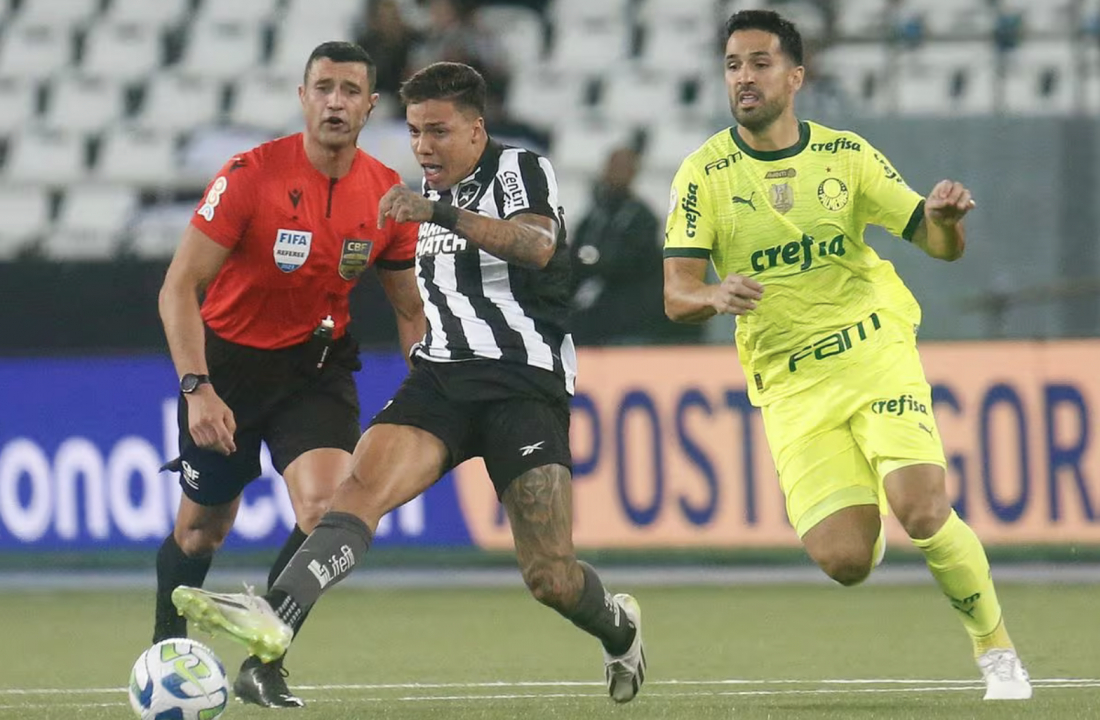 Santos arranca empate no fim e mantém Botafogo atrás do Palmeiras no  Brasileirão – REVISTA PARANÁ